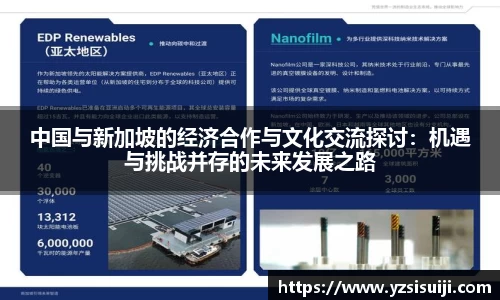 中国与新加坡的经济合作与文化交流探讨：机遇与挑战并存的未来发展之路