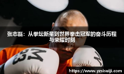 张志磊:从拳坛新星到世界拳击冠军的奋斗历程与荣耀时刻