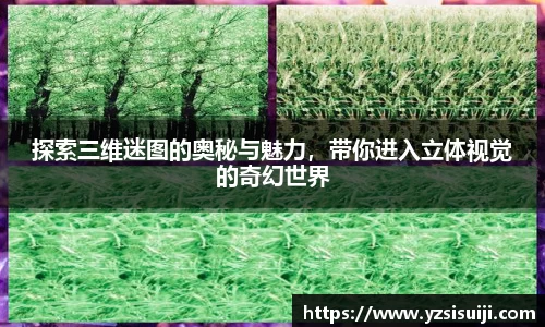探索三维迷图的奥秘与魅力,带你进入立体视觉的奇幻世界